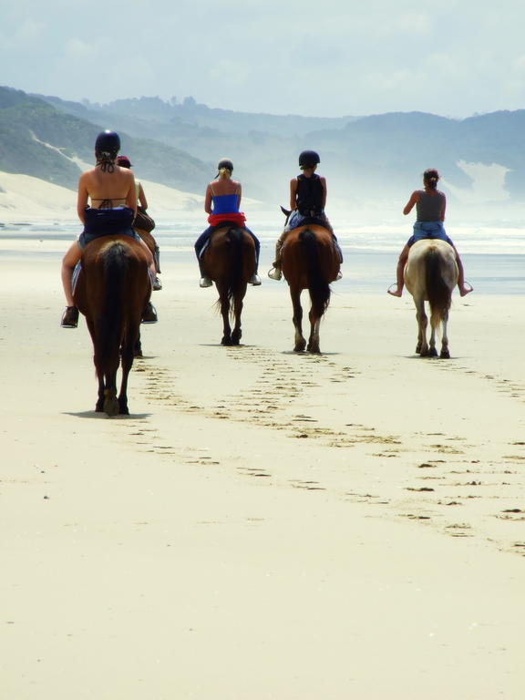 Buccaneers Beach Lodge, Chintsa, South Africa 外观 照片