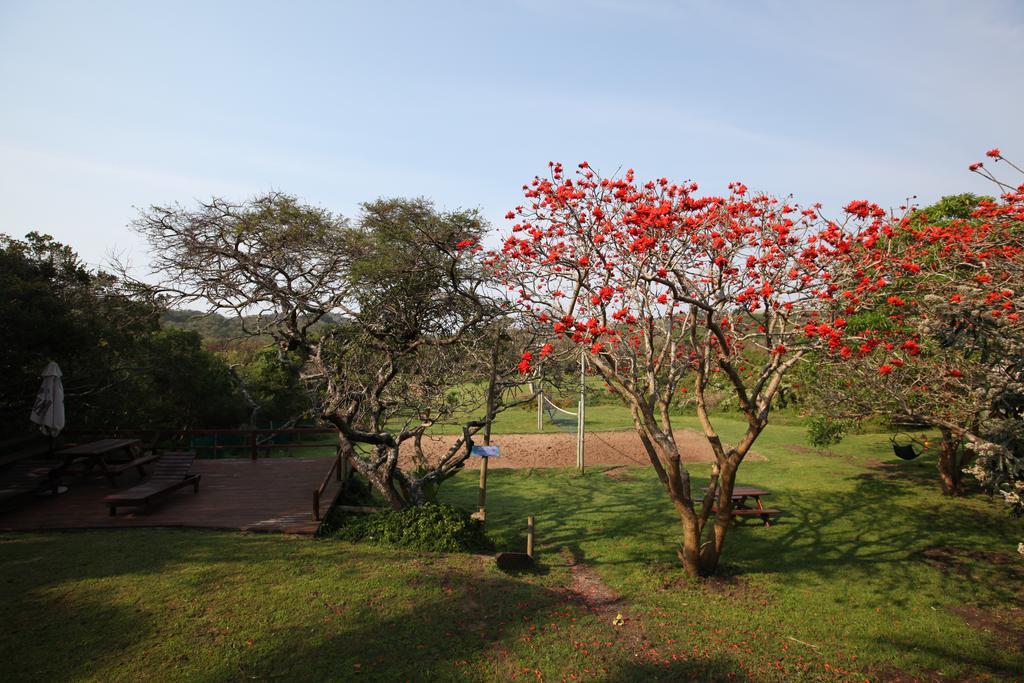 Buccaneers Beach Lodge, Chintsa, South Africa 外观 照片