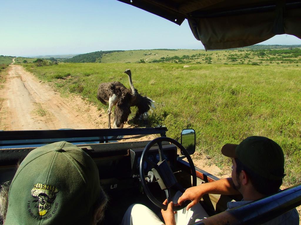 Buccaneers Beach Lodge, Chintsa, South Africa 外观 照片