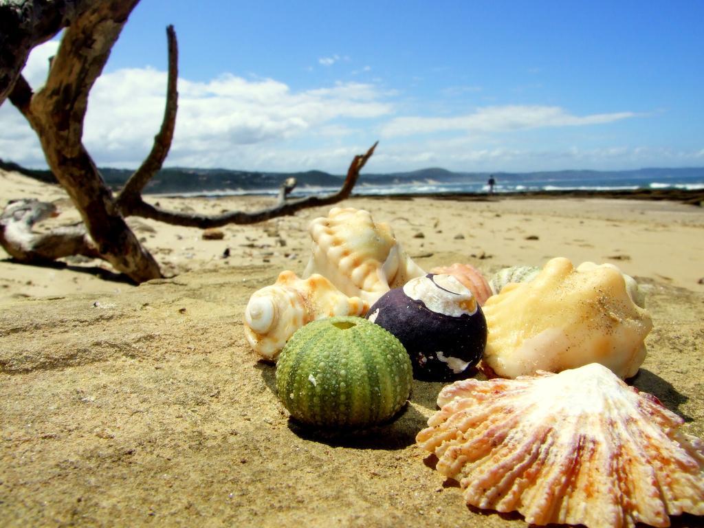 Buccaneers Beach Lodge, Chintsa, South Africa 外观 照片