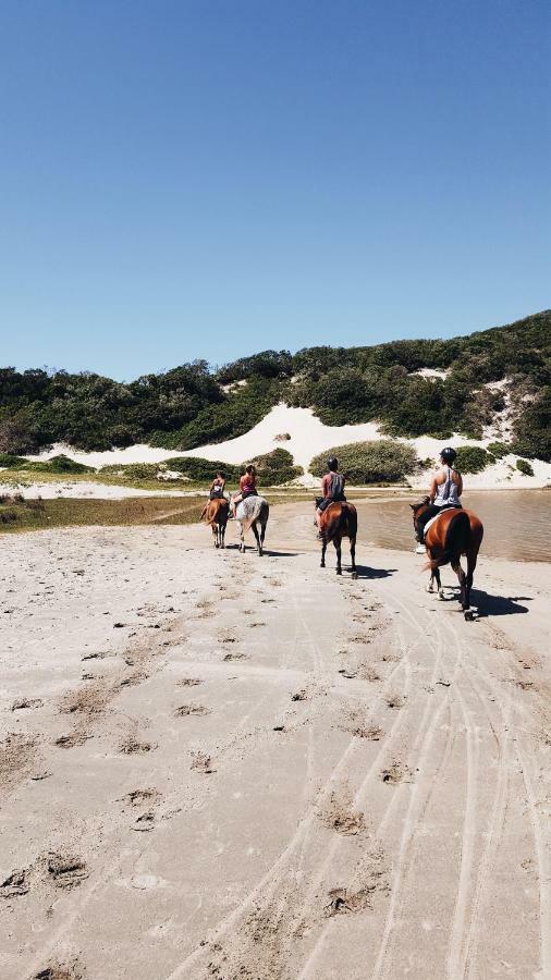 Buccaneers Beach Lodge, Chintsa, South Africa 外观 照片